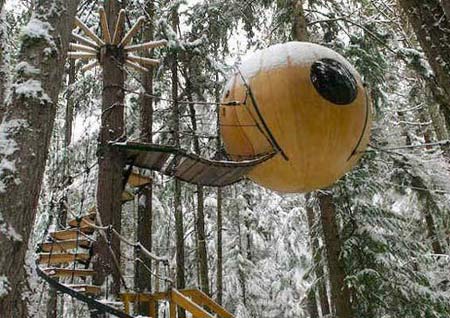 生态球树屋